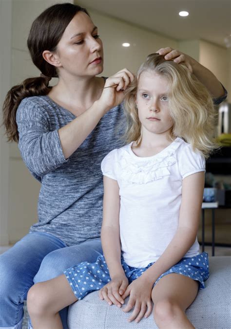 Head Lice Guide And Treatment Options Bronx Nyc