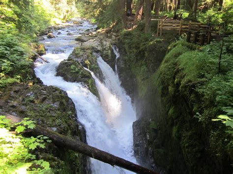 Sol Duc Hot Springs Olympic National Park 2020 All You