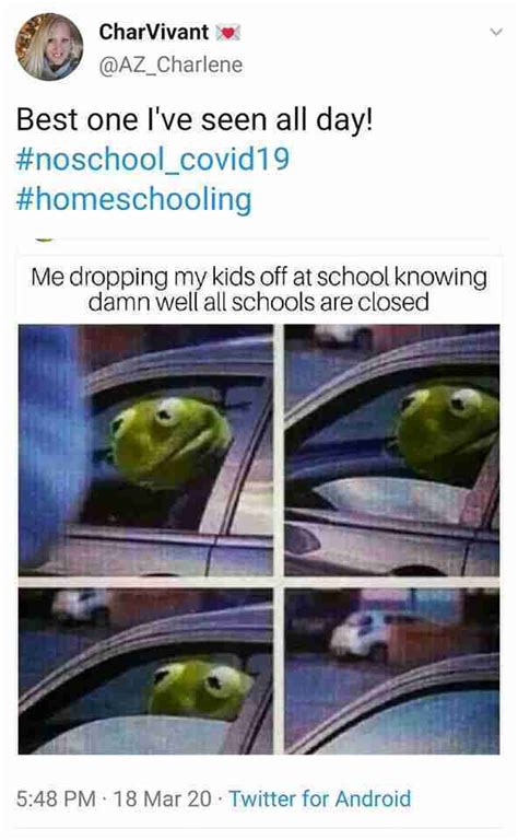 20 Funny Homeschooling Quarantine Memes And Internet Quotes Laptrinhx