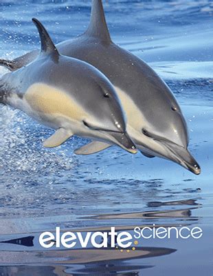 Past simple passive exercises with answers. Elevate Science Program Grades K-5 - Savvas Learning Company