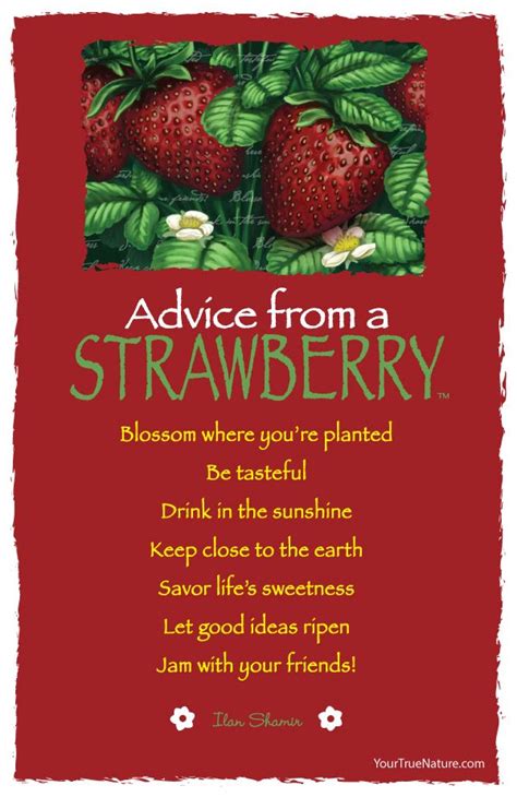 Strawberry quotes for instagram & strawberry captions: Advice from a Strawberry - Postcard - Your True Nature | Advice quotes, Good advice, Words