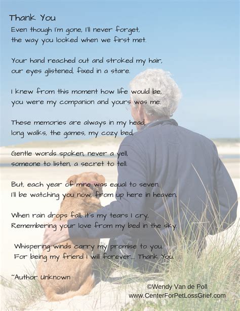 Loss of a pet cat or dog. Pet Loss Poems to Support You! | Center for Pet Loss Grief