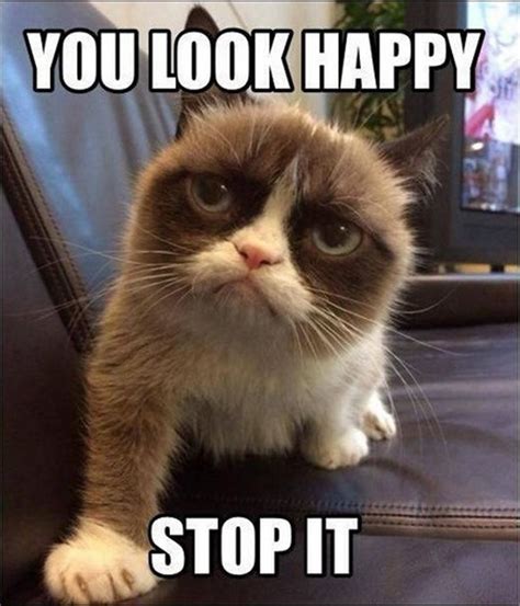 Part of a series on cats. 27 Grumpy Cat Memes Monday | Funny grumpy cat memes