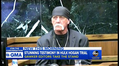Hulk Hogan Sex Tape Trial Gawkers Shocking Testimony Youtube