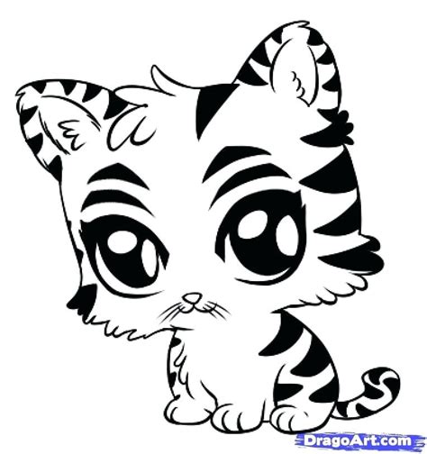 White Tiger Coloring Page At Getcolorings Free Printable