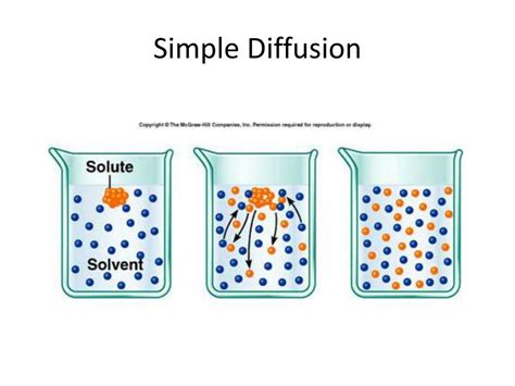 5 Common Examples Of Diffusion