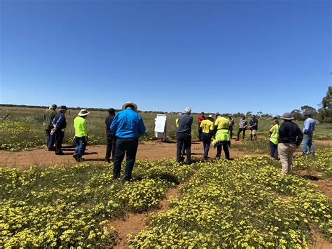 Weelhamby Farm Walk Nacc Northern Agricultural Catchments Council
