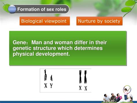 Ppt Sex Roles ——how Does The Differentiation Come About Powerpoint