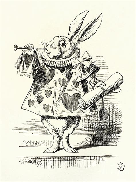 The White Rabbit From Alice In Wonderland Drawing By Mary Evans Picture Library