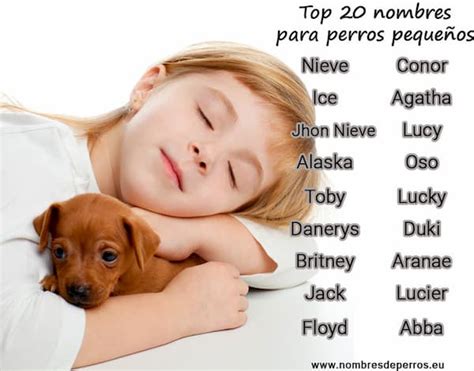 Nombres Para Perros Originales Nombres Para Perros Y Gatos Machos