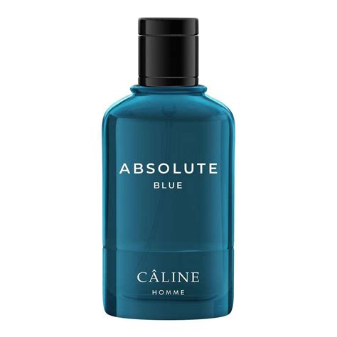 Damen Eau De Toilette Absolute Blue Von Caline ⮞ Globus