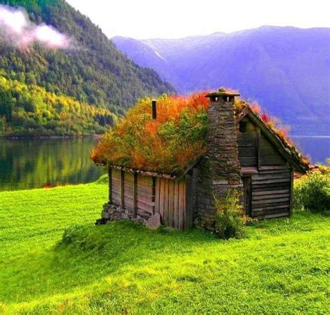 Beautiful Cottage In Norway Grass Roof Norwegian Cottage Beautiful