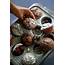 Chocolate Muffins  Beginners Baking Series Spices N Flavors