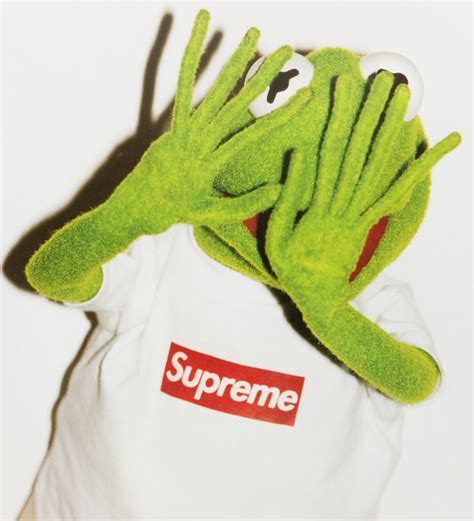 Supreme Kermit The Frog By Terry Richardson Terry Richardson Jim