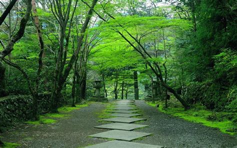 Japanese Garden In Kyoto Japan