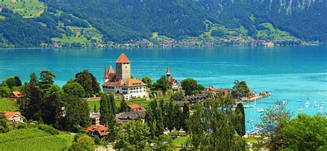 Operato d'urgenza a causa di una pila a bottone. Quando andare in Svizzera - Svizzera