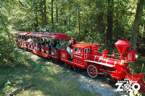 Number 2 On Our List Of 43 Things To Do At Your Zoo Ride The Train A