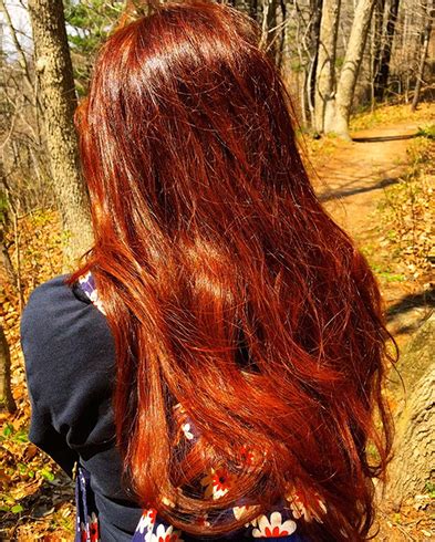 If you don't have time immediately make sure do the indigo. 54 Natural Ways To Get Rid Of Gray Hair (Oils, Ayurveda ...