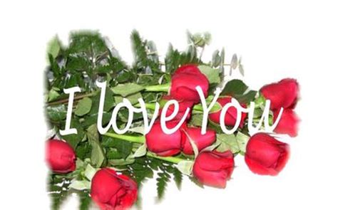 We did not find results for: I Love You - Flowers & Nature Background Wallpapers on ...