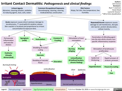 Irritant Contact Dermatitis Pathogenesis And Clinical Findings