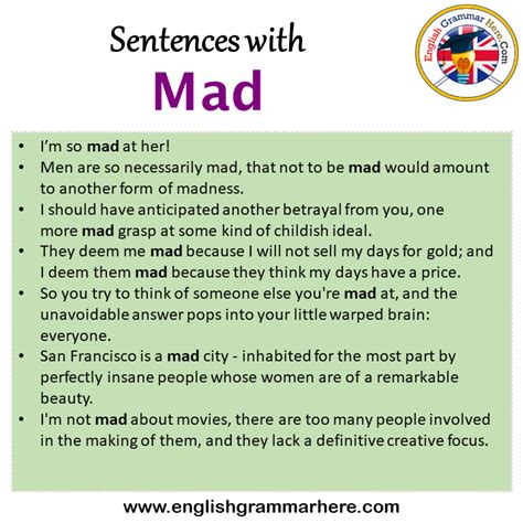 Sentences With Mad Mad In A Sentence In English Sentences For Mad