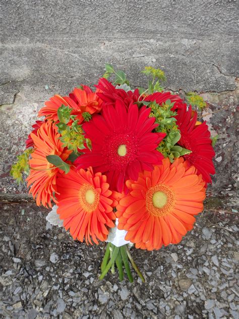orange-and-red-gerber-daisy-bouquet,-created-by-floribunda-designs-gerber-daisy-bouquet