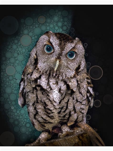Owl Blue Eyes Photographic Print By Heathermarie321 Redbubble