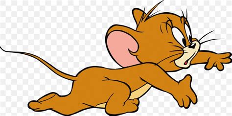 Jerry Mouse Tom Cat Tom And Jerry Clip Art Png X Px Jerry