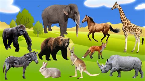 Learning Animals Names And Sounds For Kids Learn Toddlers And Babies