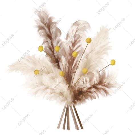 White Natural Color Bouquet Of Small Re Ed Grass Dried Flower