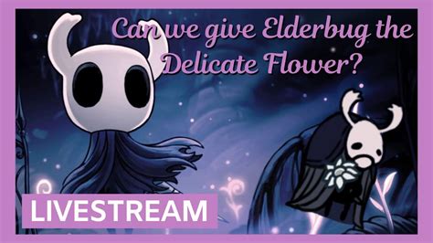 Giving Elderbug The Delicate Flower Hollow Knight Youtube