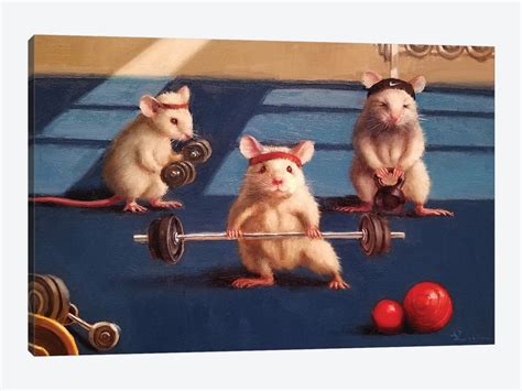 Gym Rats Canvas Art Print By Lucia Heffernan Icanvas