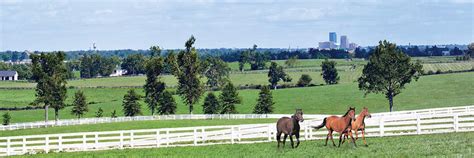Horse Capital Of The World Lexington Kentucky Visitor