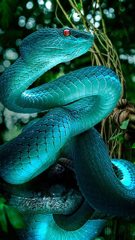 blue snake  wallpapers hd wallpapers id
