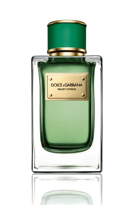 Dolce And Gabbana Velvet Collection Cypress 150ml Edp Erkek Parfümü