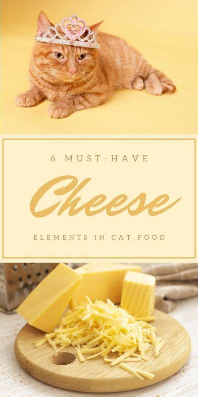 Can Cats Eat Cheese Choose The Right Cat Food Foods Cats Can Eat