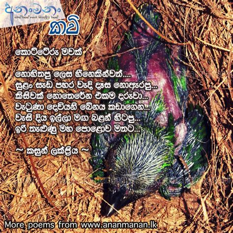 Sinhala Poem Kottoru Mawak By Kasun Lakpriya Sinhala Kavi Sinhala