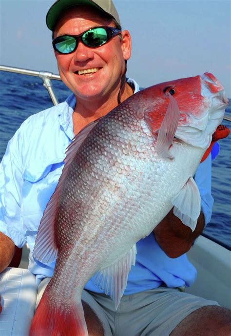 Disappointing Numbers For Bass Red Snapper Anglers