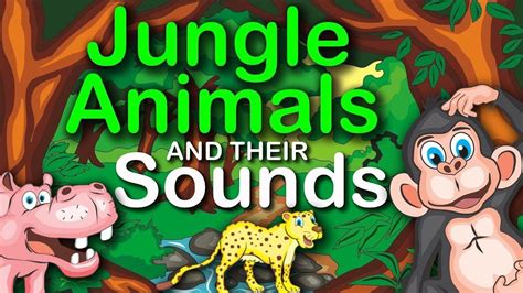 Jungle Animals And Their Sounds Learning For Kids