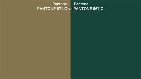 Pantone 871 C Vs Pantone 567 C Side By Side Comparison