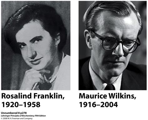 Rosalind Franklin I Maurice Wilkins Estructura De L Adn Profe Josema Flickr