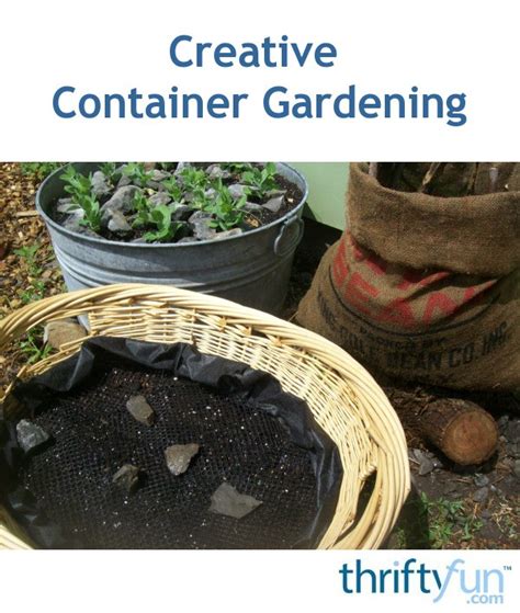 Creative Container Gardening Thriftyfun