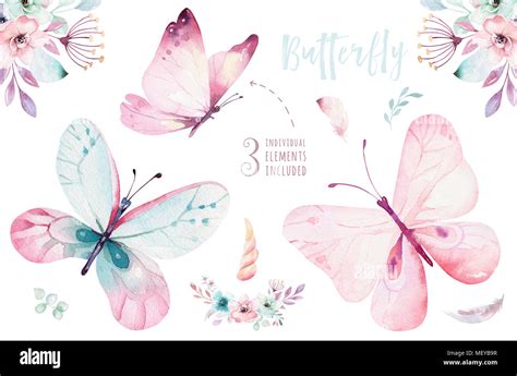 Watercolor Colorful Butterflies Isolated On White Background Blue