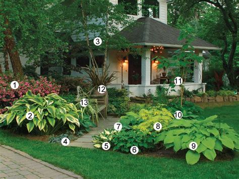 The plants you choose depend on your region and can vary widely. Shade Plants For Zone 7 - Fine Gardening | Garden and ...