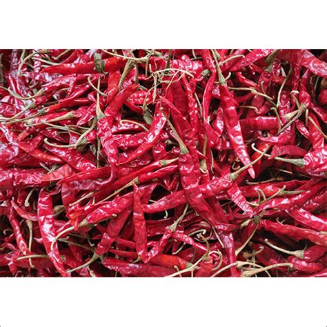 Dried Red Chilli Manufacturer In India Dried Red Chilli Exporter