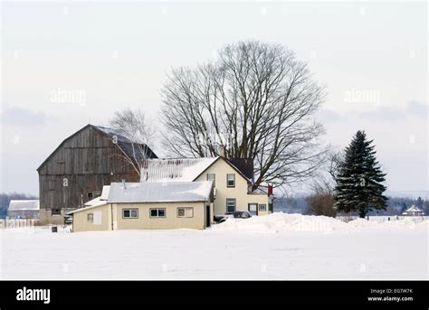 Rural Winter Scene Stock Photo Alamy
