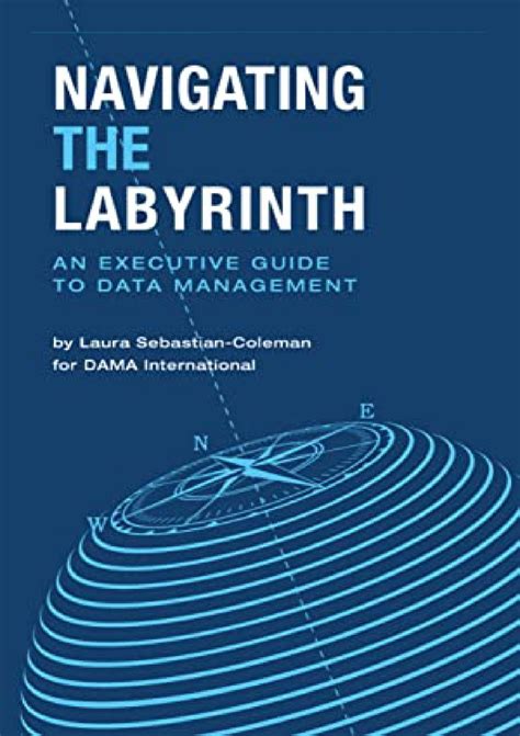 DOWNLOAD️ FREE (PDF) Navigating the Labyrinth: An Executive Guide to