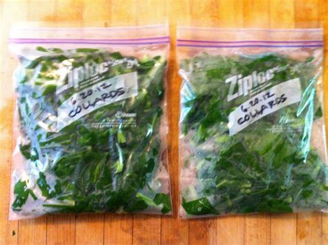 Turnip greens are my favorite kind of greens, but don't get me wrong i love them all. Harvesting and Preserving Garden Greens | Turnip greens ...