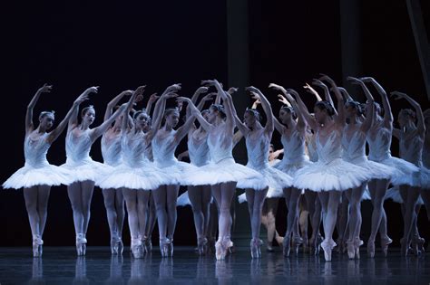 The Evolution Of Pacific Northwest Ballets Swan Lake Gemma D Alexander