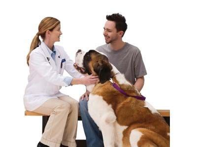 To strengthen the bond between humans and their pets by providing unsurpassed veterinary service in a caring environment. Pet-Smart Are you worried about your pet's health ...